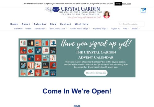 The Crystal Garden capture - 2023-12-01 05:54:02