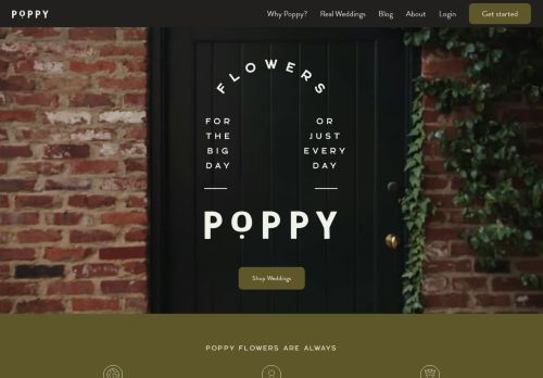 Poppy capture - 2023-12-01 08:58:49