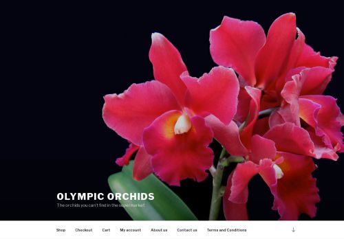 Olympic Orchids capture - 2023-12-01 15:09:50