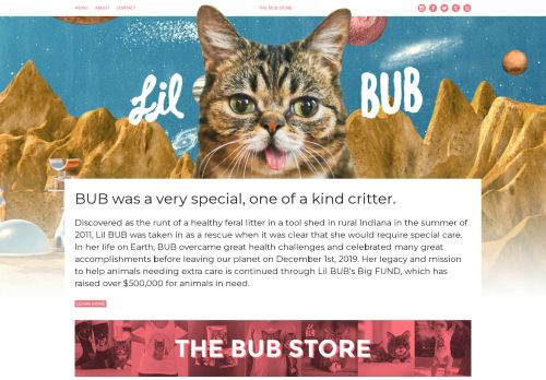 Lil Bub capture - 2023-12-02 20:52:21