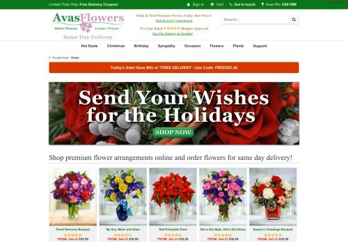 Flowers Delivery Services capture - 2023-12-05 02:10:46