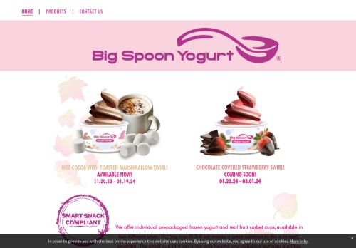 Big Spoon Yogurt capture - 2023-12-05 22:22:00