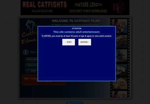 Catfight Films capture - 2023-12-06 11:18:24