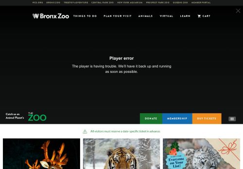 Bronx Zoo capture - 2023-12-07 01:13:51