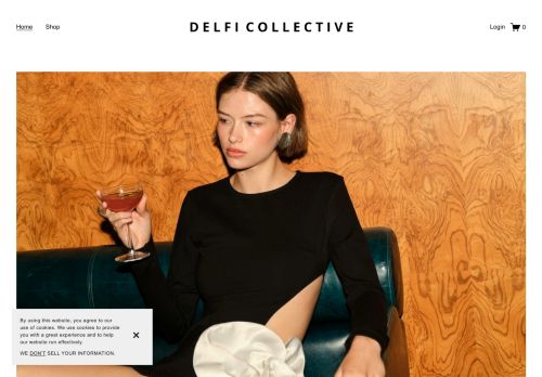 Delfi Collective capture - 2023-12-07 18:15:14