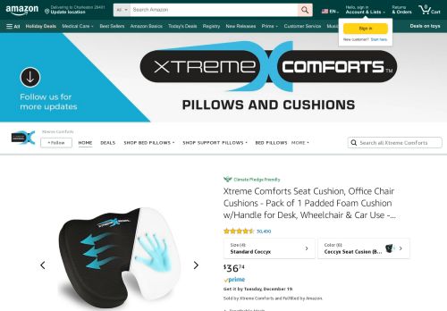 Xtreme Comforts capture - 2023-12-09 01:37:28