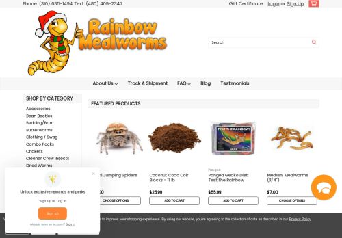 Rainbow Mealworms capture - 2023-12-09 15:53:29