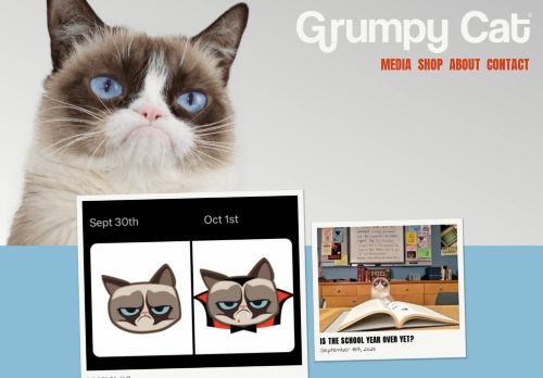 Grumpy Cats capture - 2023-12-10 21:43:13