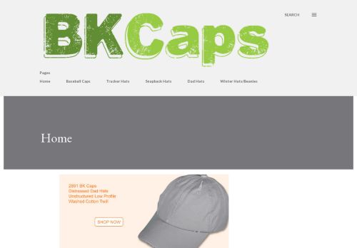 Bk Caps capture - 2023-12-11 23:34:17