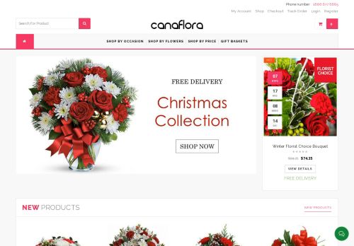 Cana Flora capture - 2023-12-12 10:52:05