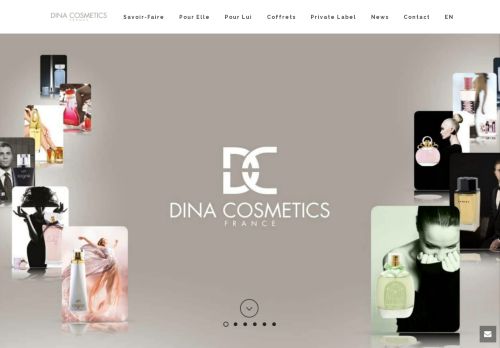 Dina Cosmetics capture - 2023-12-14 18:54:20