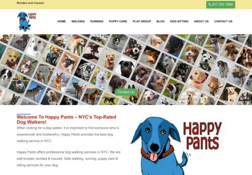 Happy Pants capture - 2023-12-16 16:40:04