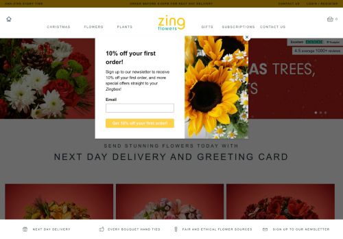 Zing Flowers capture - 2023-12-18 12:08:02