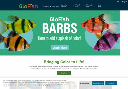 Glofish capture - 2023-12-21 15:34:42