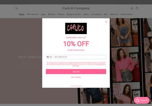 Carli & Company capture - 2023-12-21 19:59:44