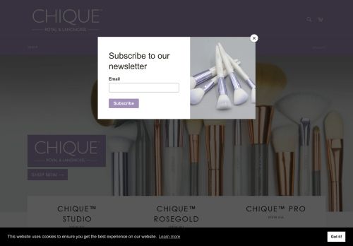 Chique capture - 2023-12-21 23:19:43