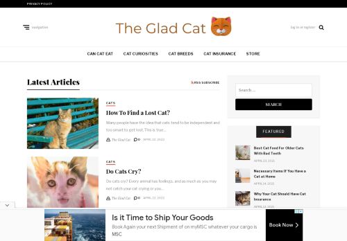 The Glad Cat capture - 2023-12-23 11:49:37