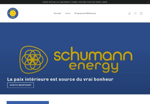 Schumann Energy capture - 2023-12-23 18:58:17