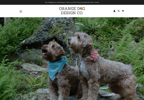 Orange Dog Design Co. capture - 2023-12-24 14:50:17