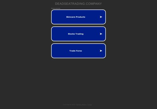 Dead Sea Trading Co capture - 2023-12-25 01:31:32