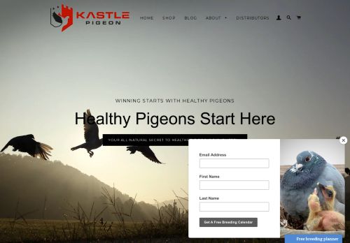 Kastle Pigeon capture - 2023-12-25 02:20:25
