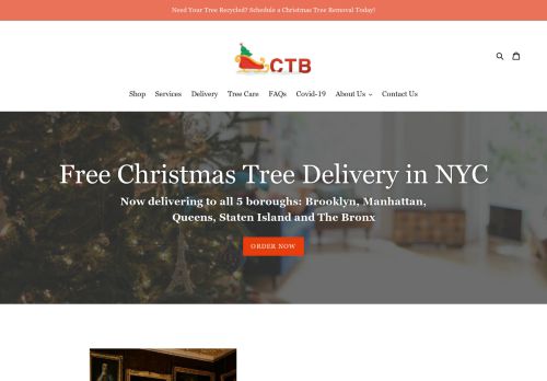 Christmas Tree Brooklyn capture - 2023-12-25 16:18:43