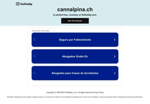 Cann Alpina capture - 2023-12-25 17:49:05