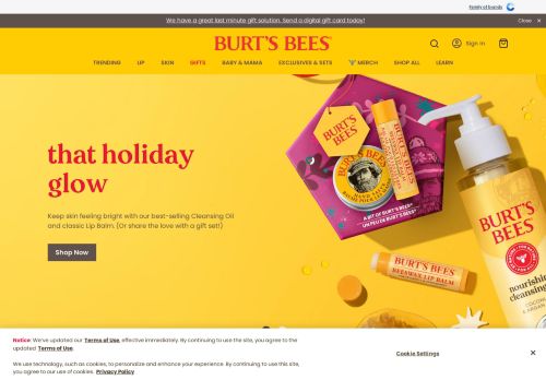 Burts Bees capture - 2023-12-25 19:15:07