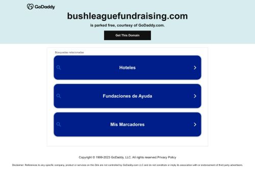 Bush League Fundraising capture - 2023-12-25 22:04:44