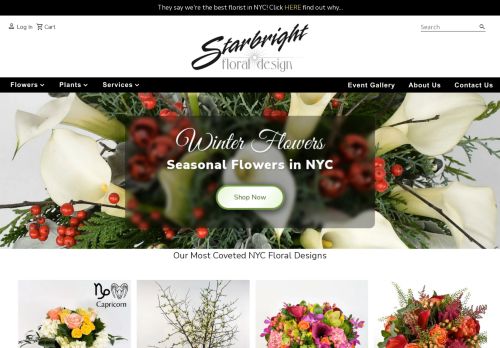 Star Bright Floral Design capture - 2023-12-26 14:07:25