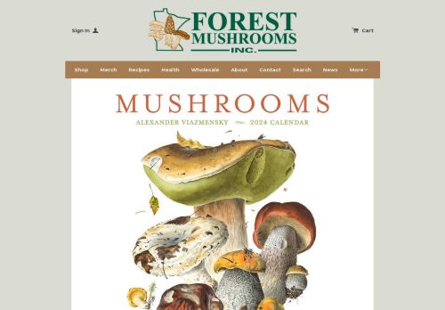 Forest Mushrooms capture - 2023-12-27 00:07:36