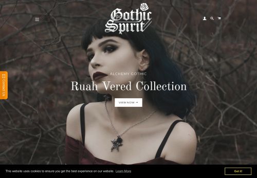Gothic Spirit capture - 2023-12-28 20:25:30
