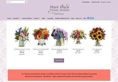 Plant Place and Flower Basket capture - 2023-12-29 02:56:45