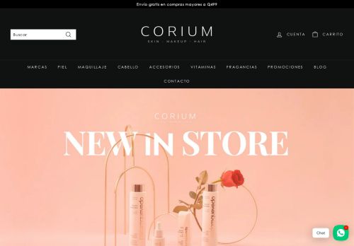 Corium capture - 2023-12-30 00:30:06
