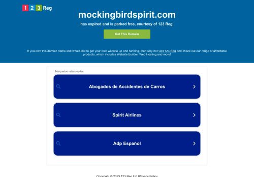 Mocking Bird Spirit capture - 2023-12-31 02:24:42