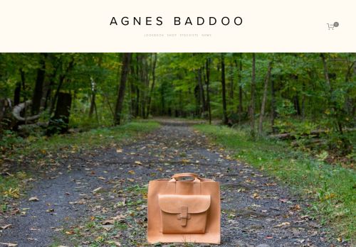 Agnes Baddoo capture - 2024-01-02 00:15:05