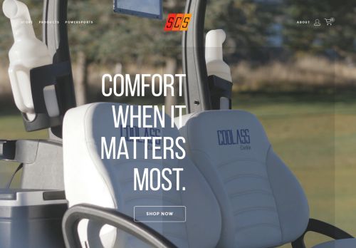Seat Comfort Systems capture - 2024-01-02 06:10:39