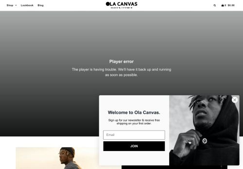 Ola Canvas capture - 2024-01-02 07:08:44