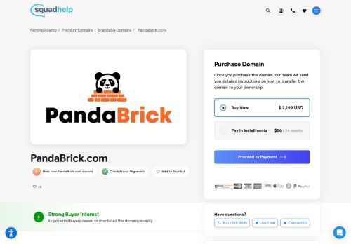 Panda Brick capture - 2024-01-02 19:05:46