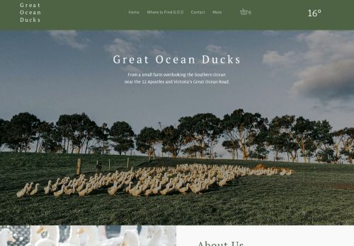 Great Ocean Ducks capture - 2024-01-03 08:55:31