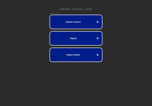 Diesel Digital capture - 2024-01-05 21:53:15