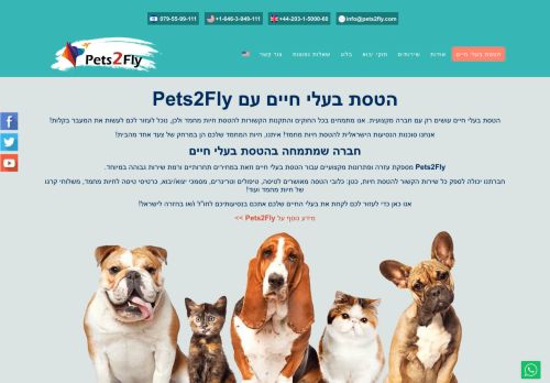 Pets 2 Fly capture - 2024-01-06 01:32:14