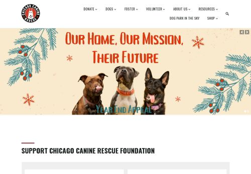Chicago Canine Rescue capture - 2024-01-07 06:18:04