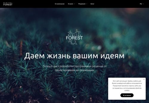 Digital Forest capture - 2024-01-07 17:46:12