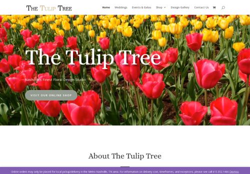 The Tulip Tree capture - 2024-01-07 22:11:35