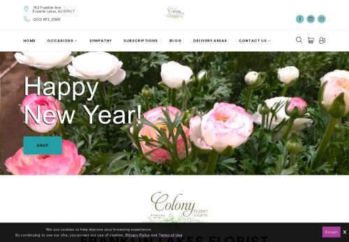 Colony Florist Online capture - 2024-01-08 00:34:14