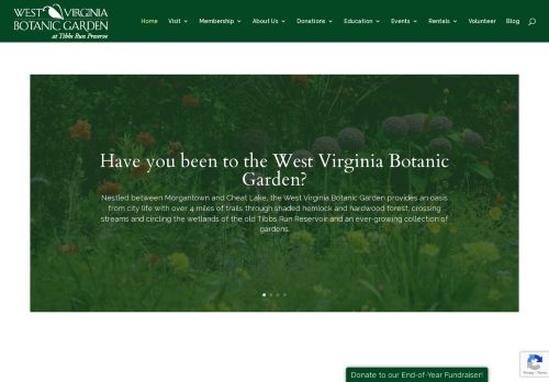 West Virginia Botanic Garden capture - 2024-01-08 21:02:29