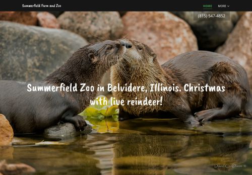 Summerfield Farm And Zoo capture - 2024-01-08 23:28:11