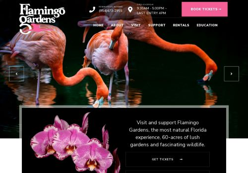 Flamingo Gardens capture - 2024-01-09 02:10:29