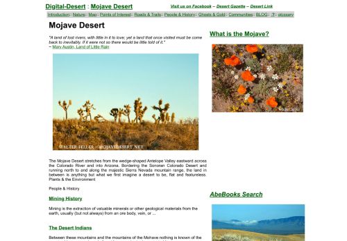 Mojave Desert capture - 2024-01-10 04:16:32